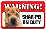 Shar-Pei cane - Cartello cartoncino laminato
