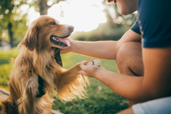 ragazzo che gioca con il suo cane