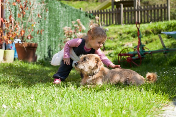bambina che gioca con il cane in giardino