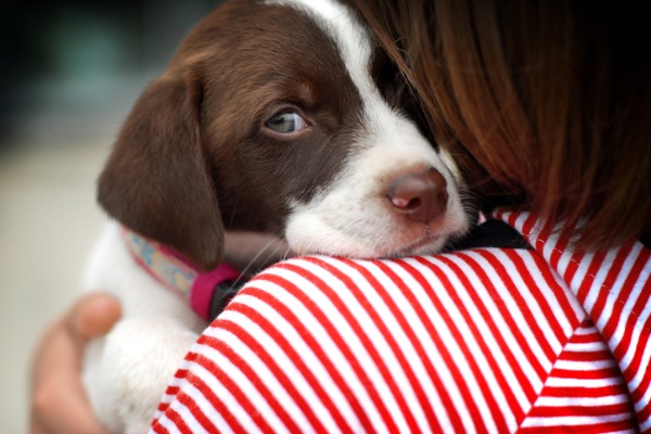 bambina con cucciolo di cane in braccio