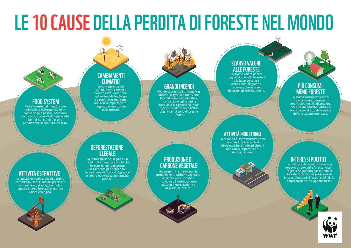 foreste antivirus pandemie