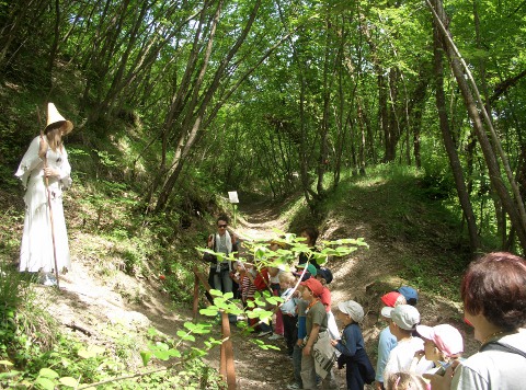 bosco san martino