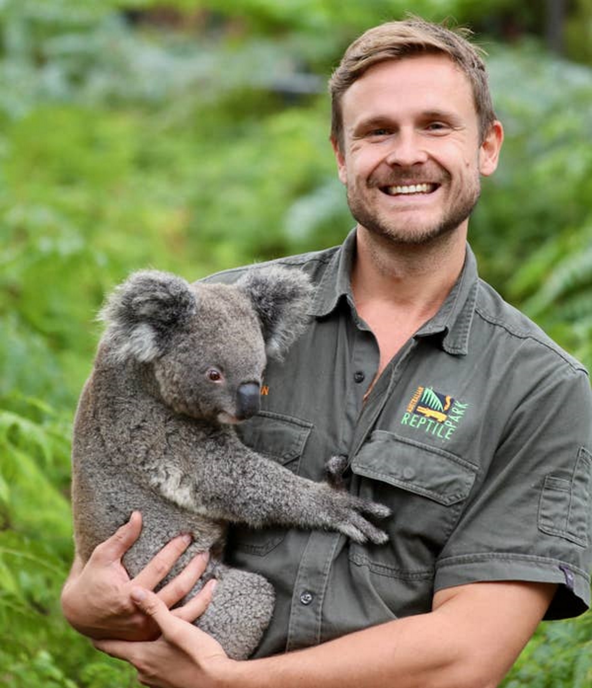 koala zoo