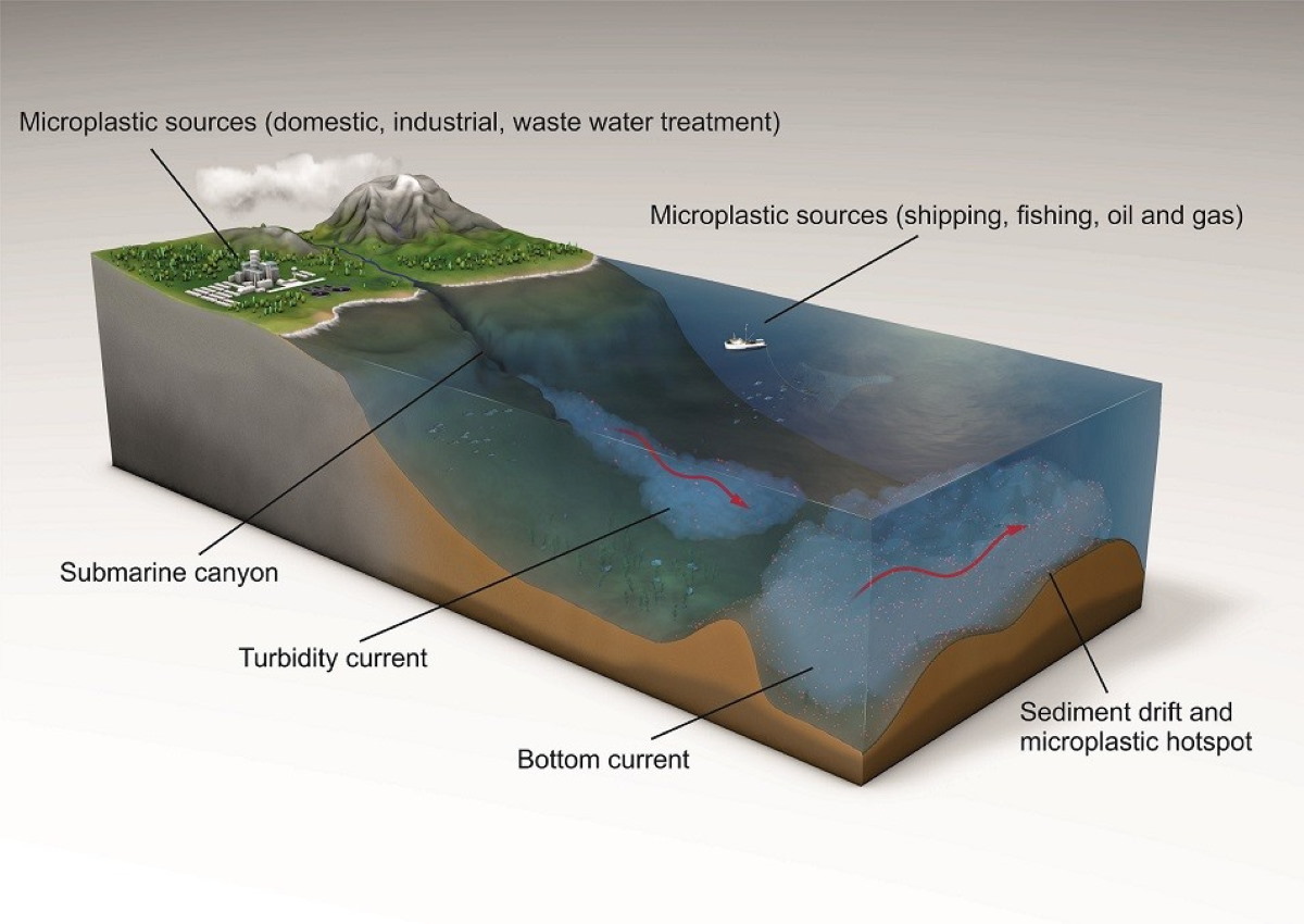 microplastiche