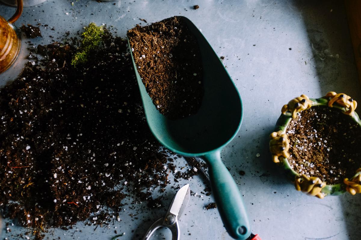 An image depicting sustainable gardening practices with various plants, compost, and gardening tools.
