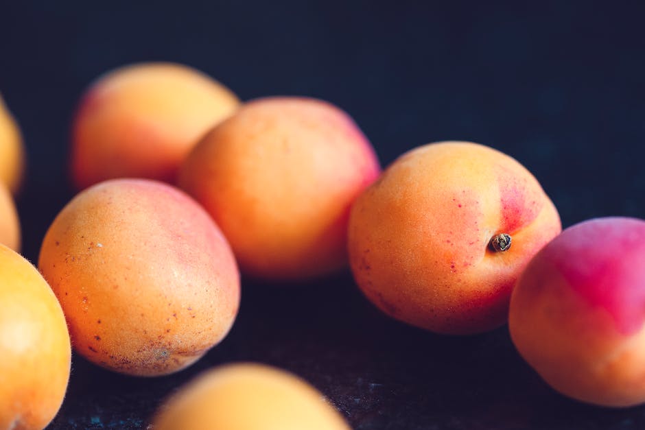 Illustration of a peach with a bubble-like deformity caused by Peach Leaf Curl disease