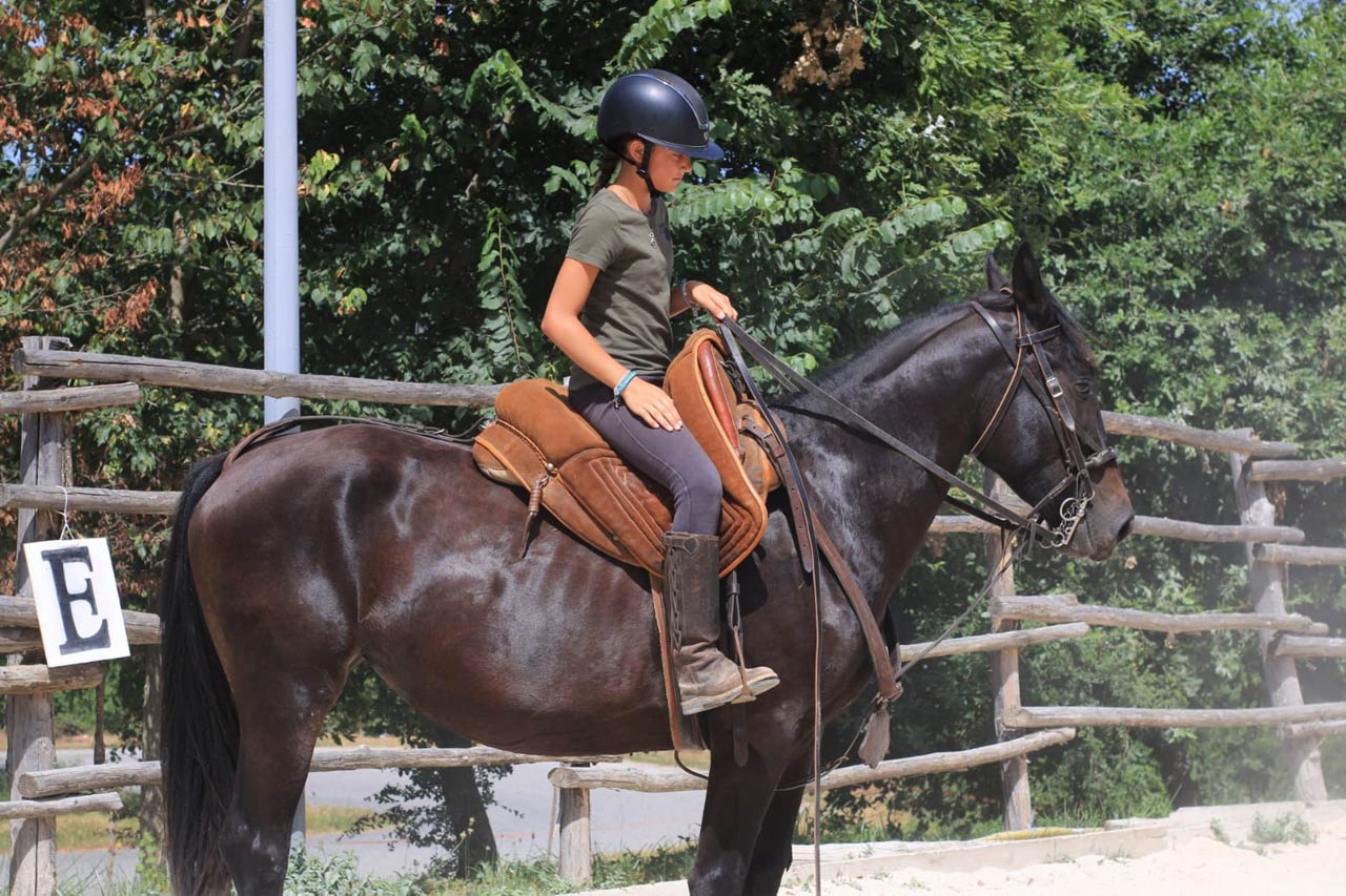 cavallo romano maremma laziale