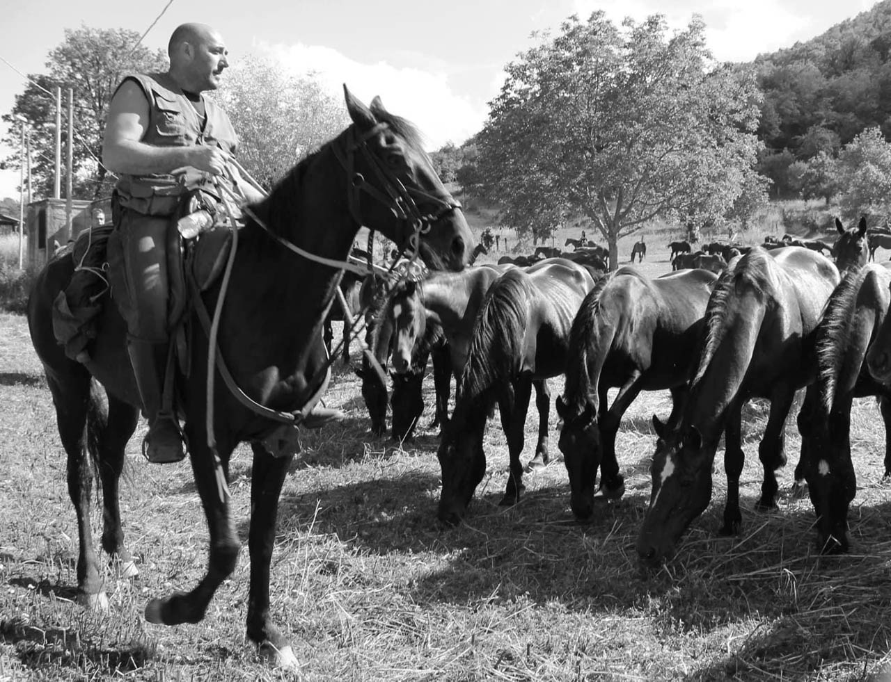Trasumanza cavallo romano maremma laziale