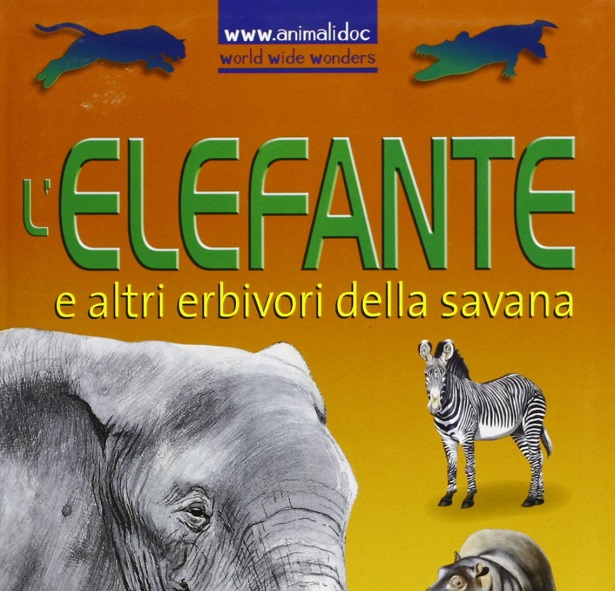 animali erbivori animali erbivori