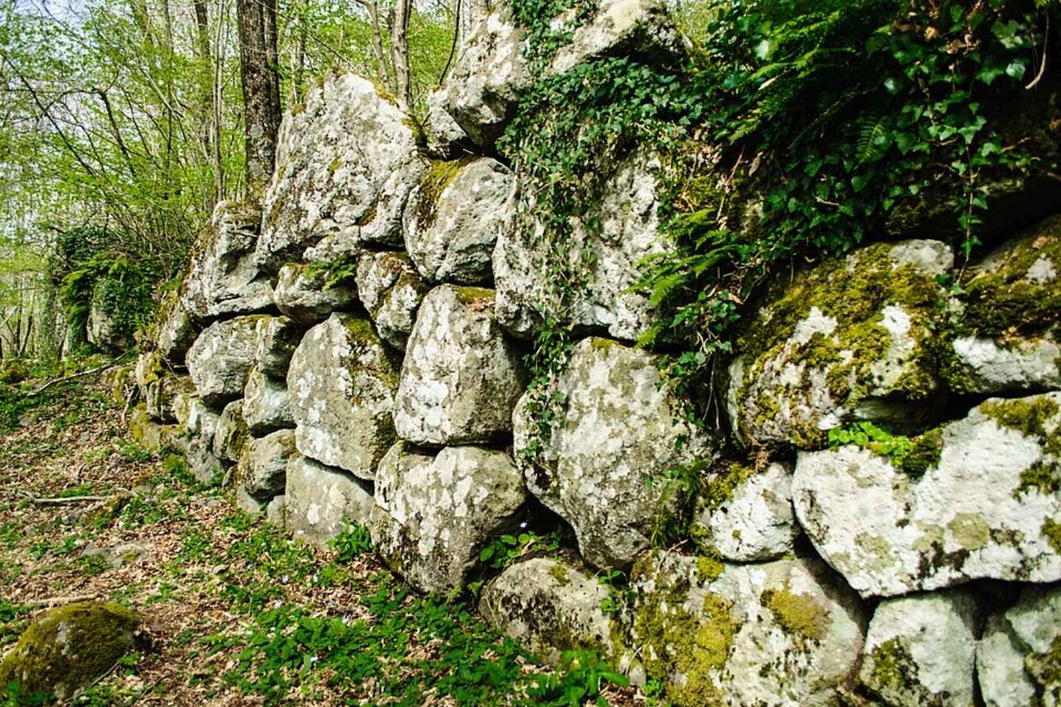 Roccamonfina orto della regina