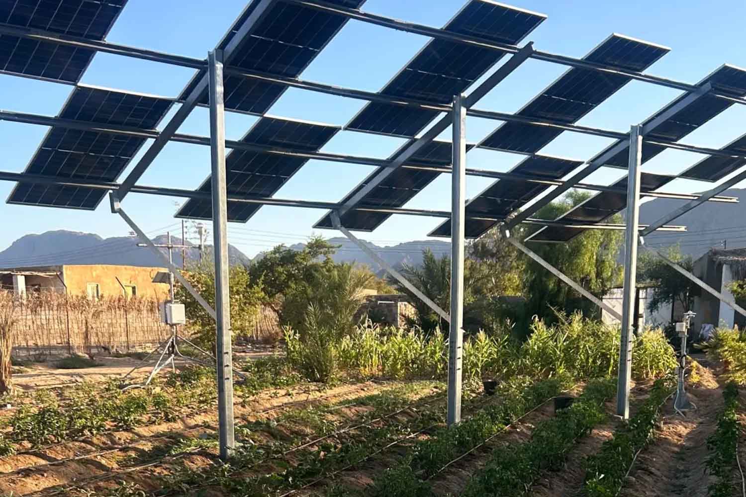 agrivoltaico in Egitto