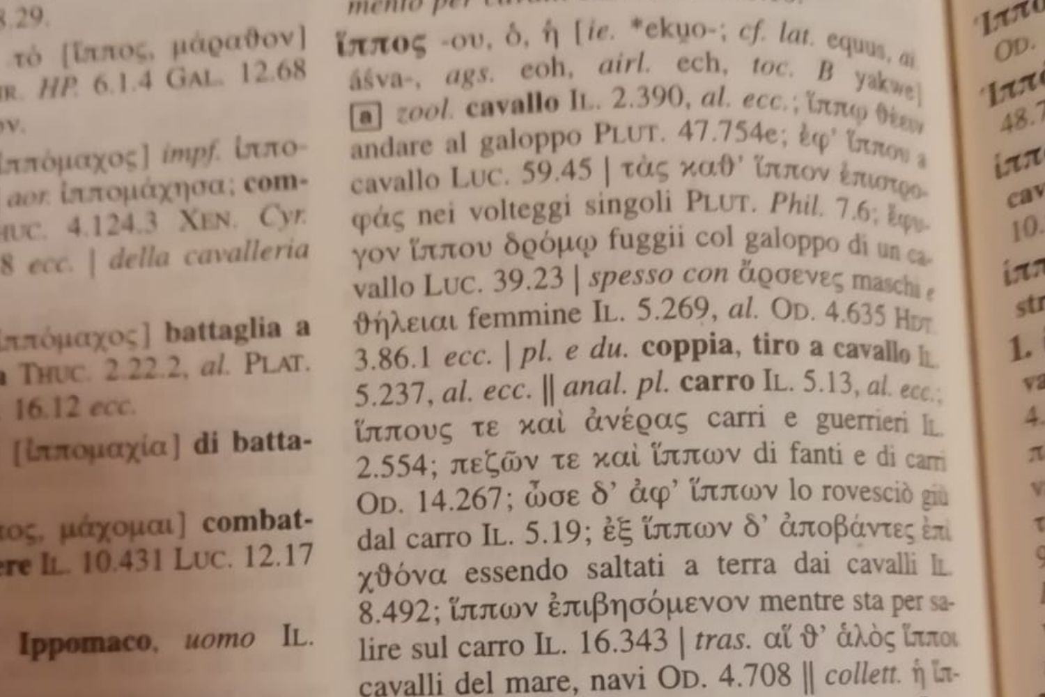 cavallo omero