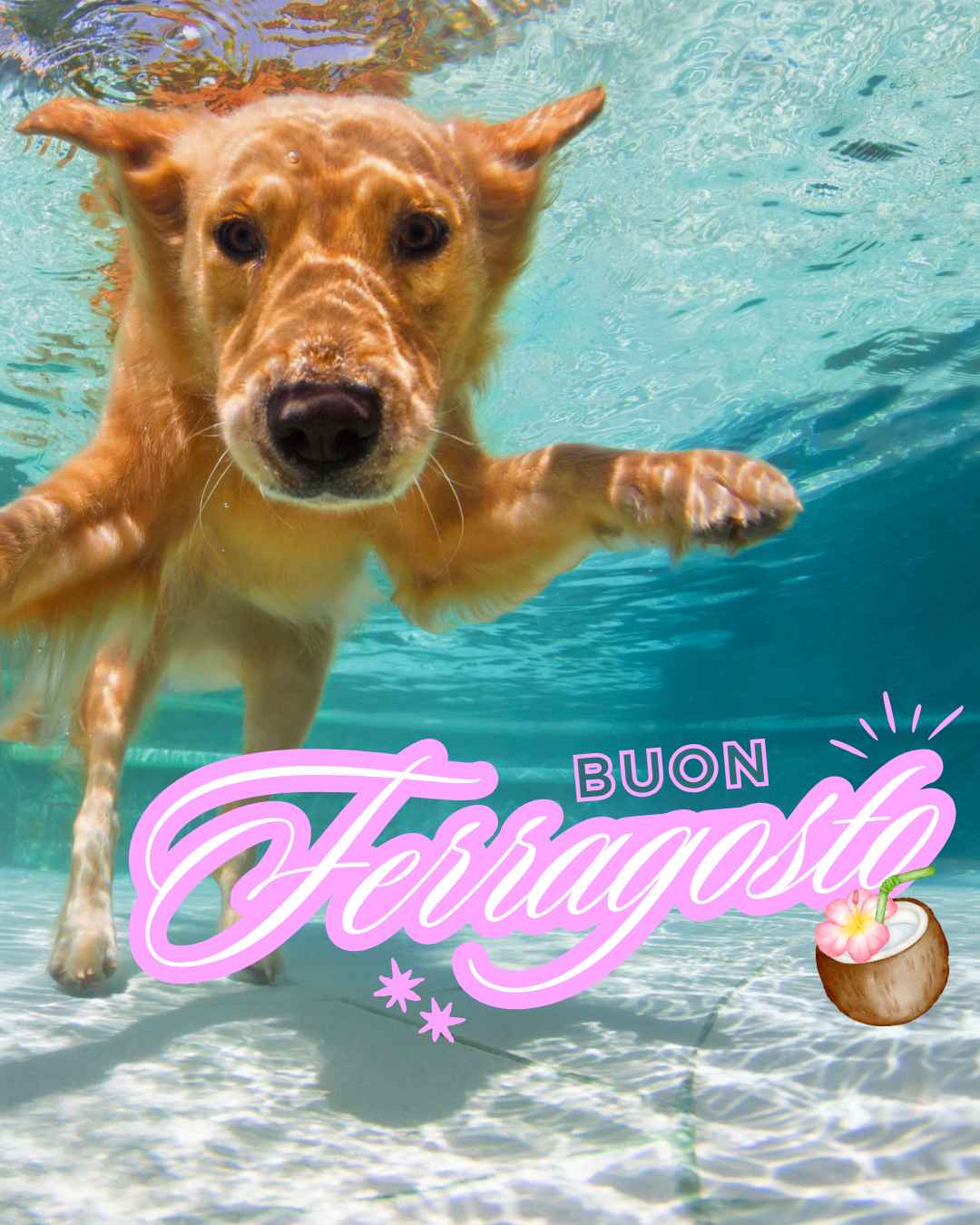 ferragosto 