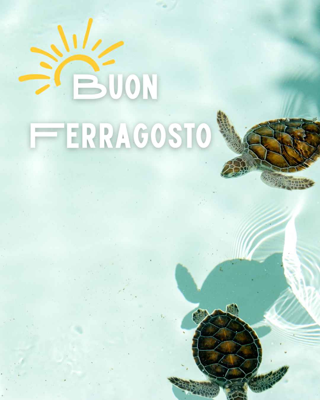 ferragosto 1