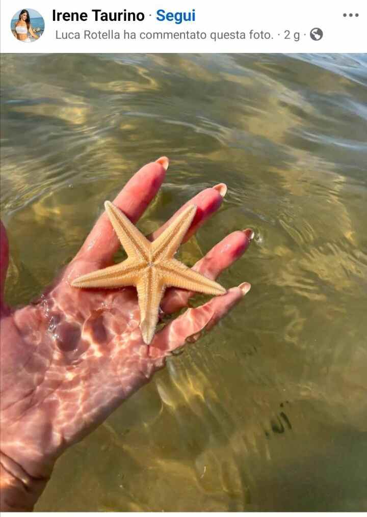 stella marina