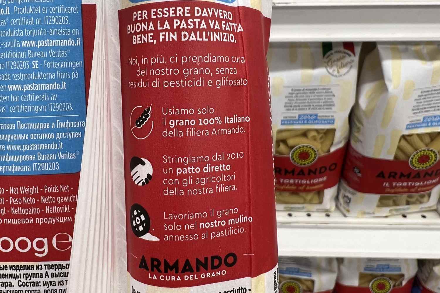 armando 2