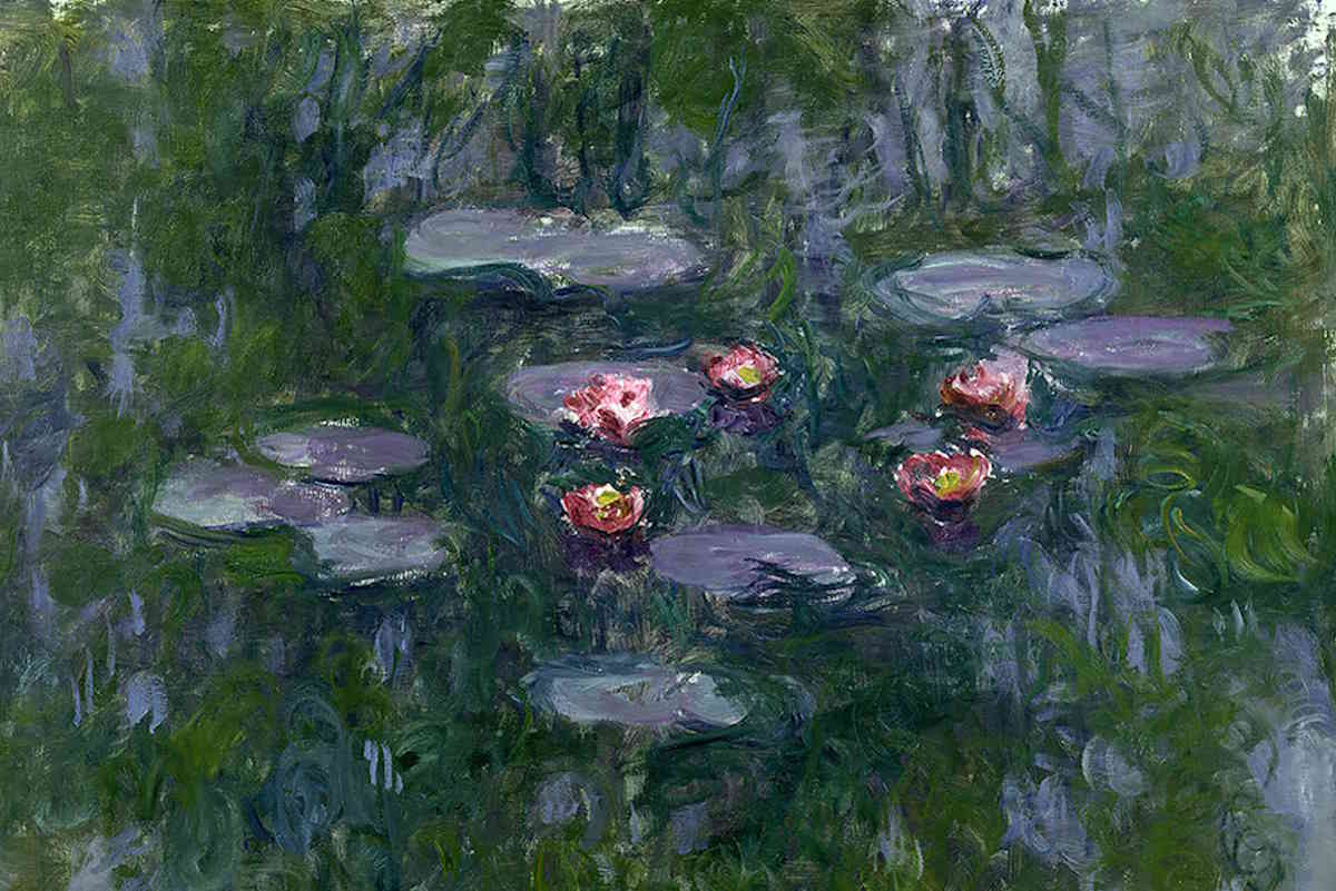 monet ninfee