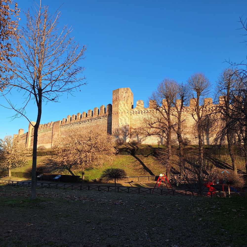 Cittadella