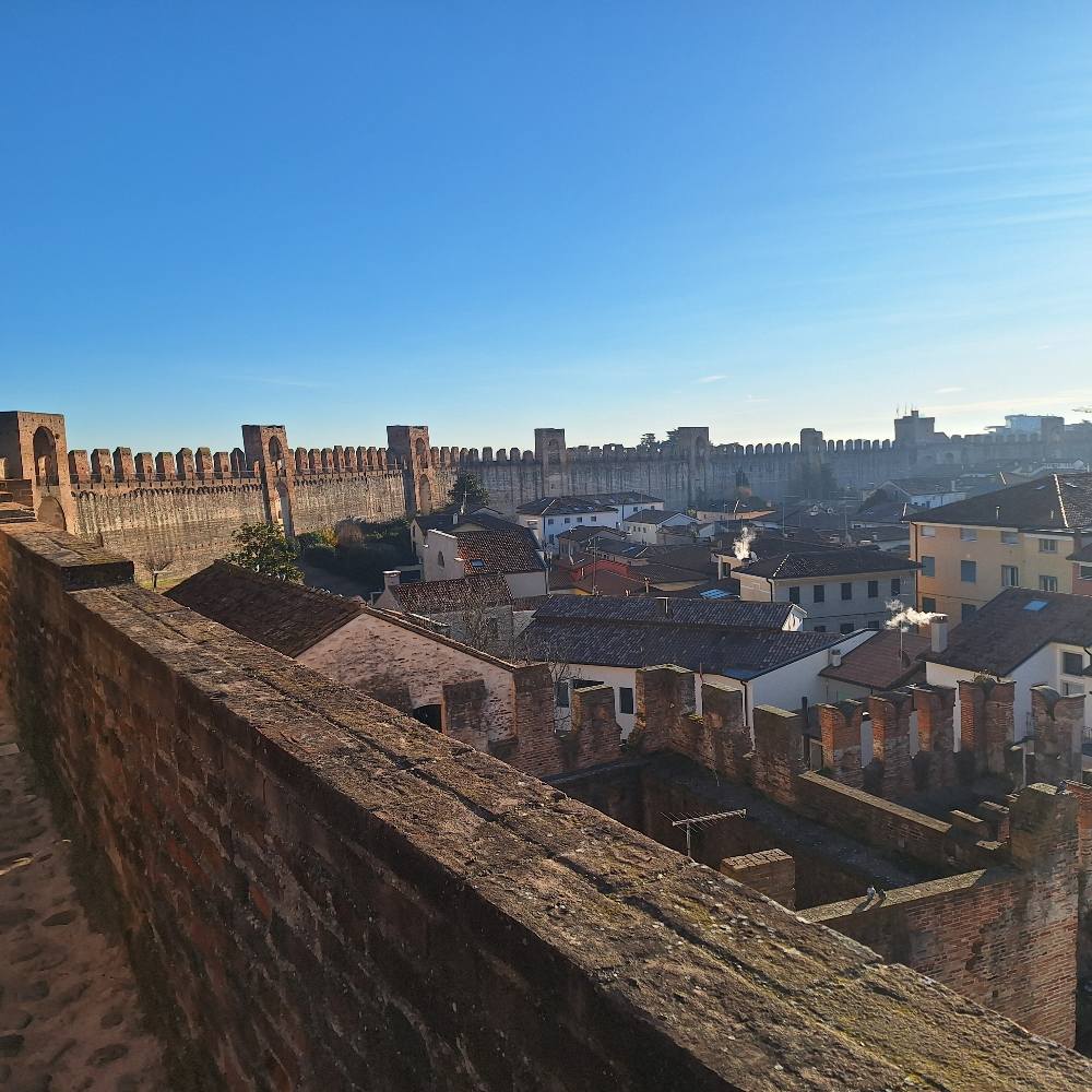 Cittadella