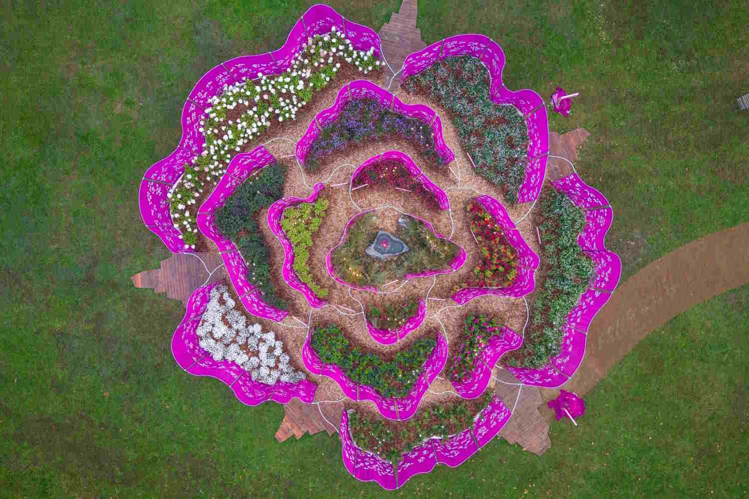 Orticolario 2026_rosa velata