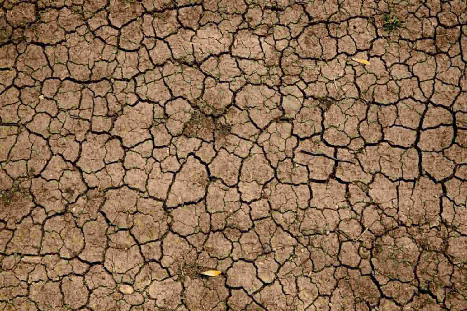 Primo piano zenitale di un terreno brullo e argilloso completamente spaccato a causa della siccità e della mancanza d'acqua