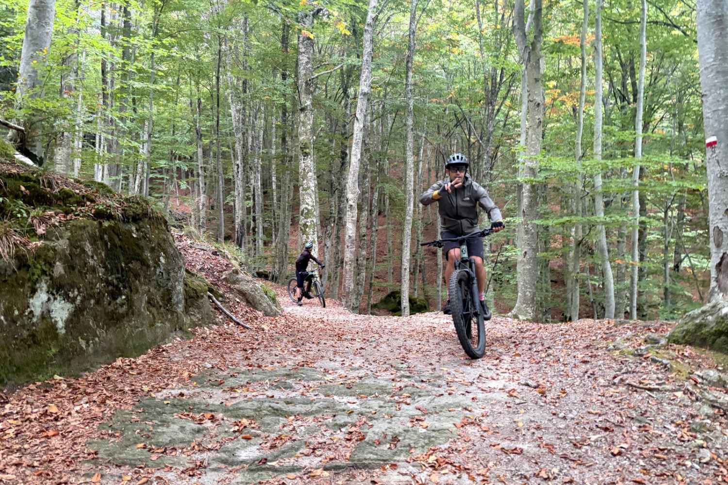 faggeta monte amiata